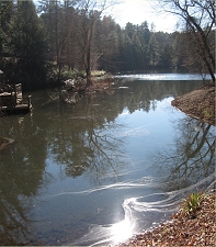 Our youngest daughter had enough energy to run down to the bass pond while we were shopping at the gardening shop. The edge of the boat dock is just visible at the right.  Click for bigger photo