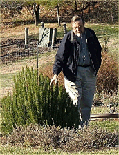 I couldn't possibly leave without inspecting their herb garden. This rosemary bush, though, caught my by surprise. Does it really winter over down there?  Click for bigger photo