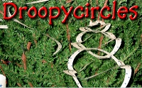 Click to see the Droopycircle craft page.