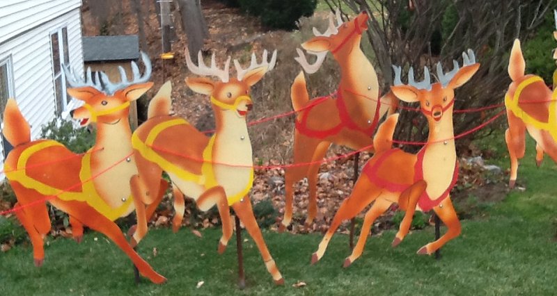 middle_reindeer_closeup.jpg