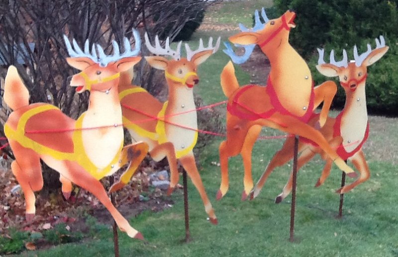 lead_reindeer_closeup.jpg
