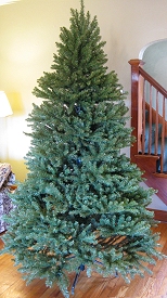 The tree as it looks fluffed and assembled before lights and ornaments are proviced. Click for bigger photo.