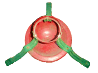 Click for bigger photo.