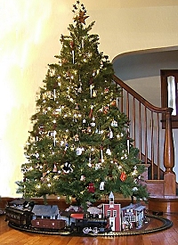 Our family Christmas tree. Click for bigger photo.